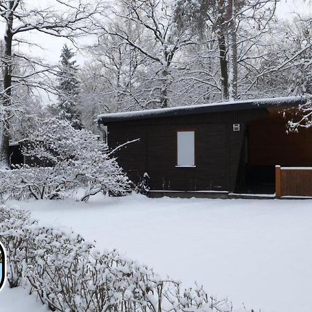 Glamping Kromlau Gablenz エクステリア 写真